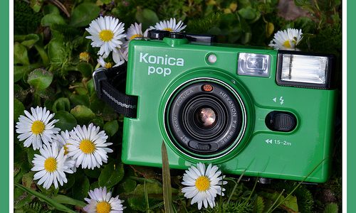 “C35 EF3”-ดอกไม้กล้องสีเขียว